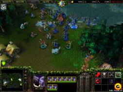 Warcraft III: The Reign of Chaos [RePack] скачать на пк