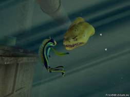 Подводная Братва (DreamWorks' Shark Tale), скриншот 3