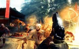Shadow Warrior, скриншот 4