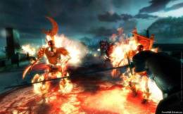 Shadow Warrior скачать на пк