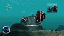 Reef Shot скачать на пк