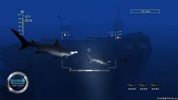 Reef Shot, скриншот 4