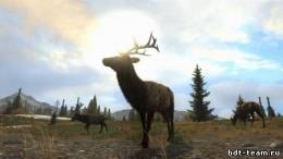Cabela's Big Game Hunter: Pro Hunts скачать на пк
